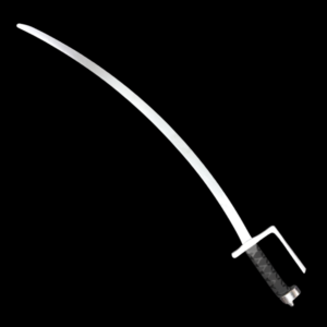 Trainer: Polish-Hungarian Saber